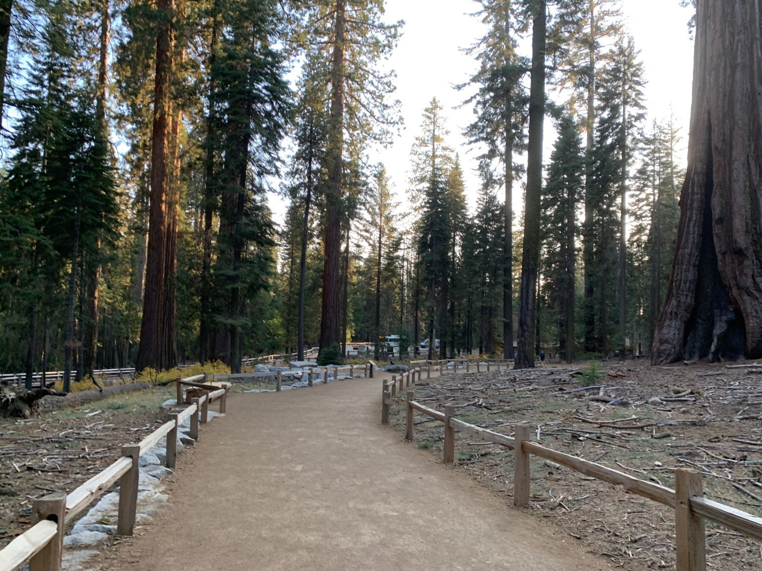 Hiking The Mariposa Grove Trail To Wawona Point Yosemite National Park