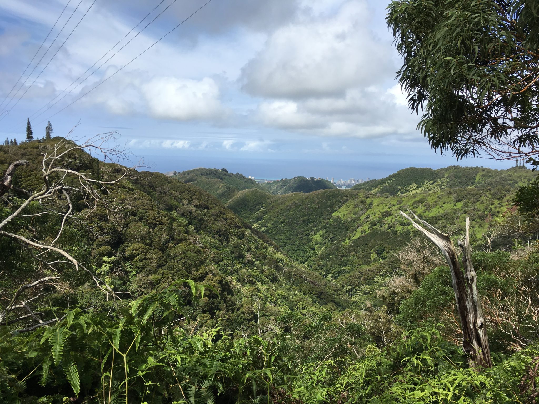 Hiking The Wiliwilinui Ridge Trail (Honolulu, Oahu, Hawaii) - Flying ...