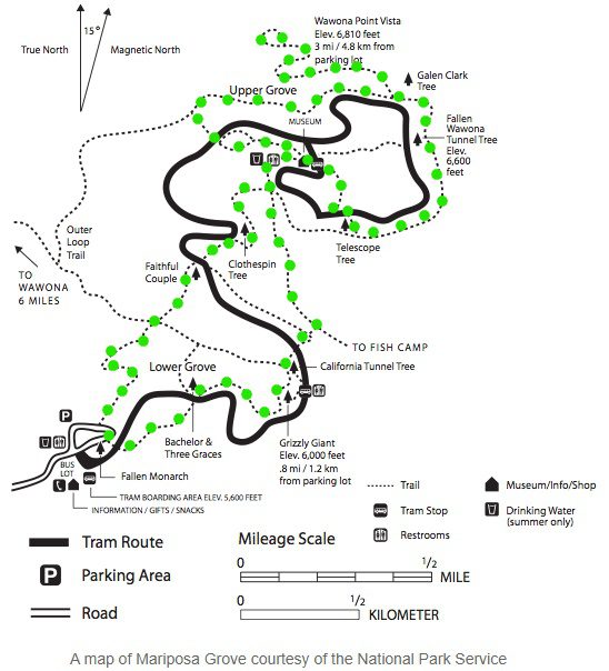 Hiking The Mariposa Grove Trail To Wawona Point (Yosemite National Park ...