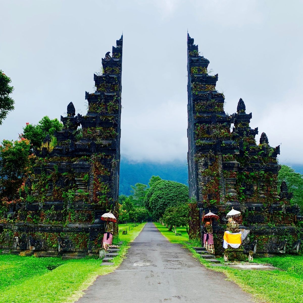 guided tours bali