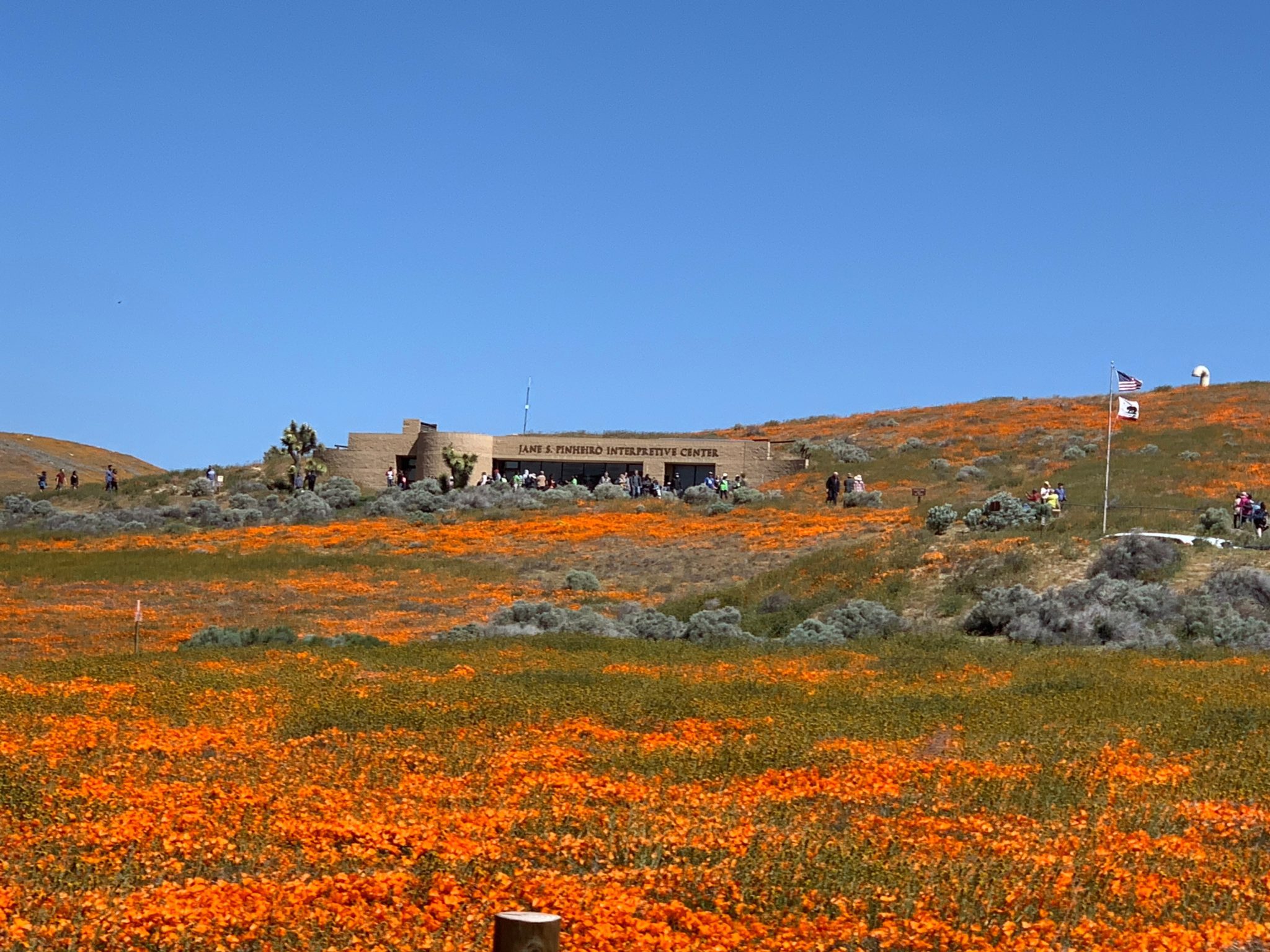 Visiting And Hiking The Antelope Valley California Poppy Reserve During