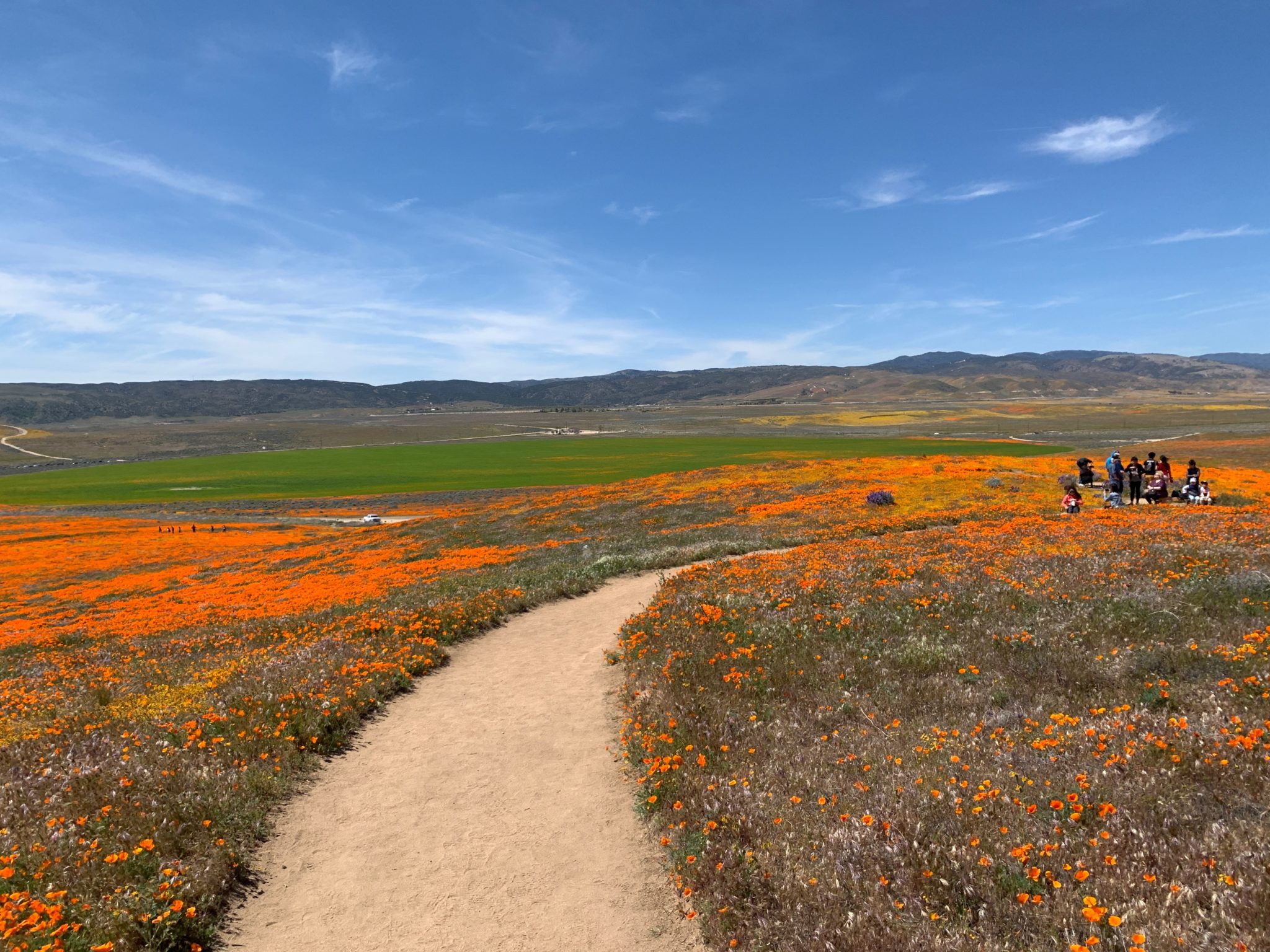 Visiting And Hiking The Antelope Valley California Poppy Reserve During 