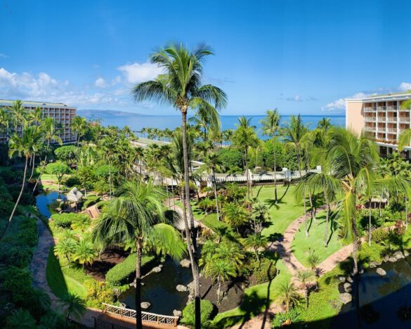 Video: Gardens, Water Slides, And The Lazy River At Grand Wailea (Maui ...